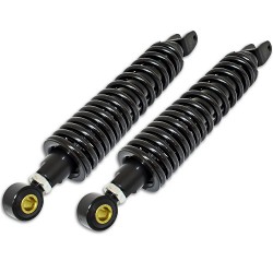 ΑΜΟΡΤΙΣΕΡ ΠΙΣΩ ΣΕΤ SH125/150 ROC