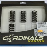 ΕΛΑΤΗΡΙΑ ΒΑΛΒΙΔΩΝ CARDINALS CRYPTON-X 135
