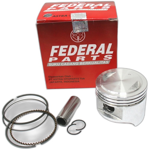 ΕΜΒΟΛΟ SHOGUN 110 0.100 FEDERAL